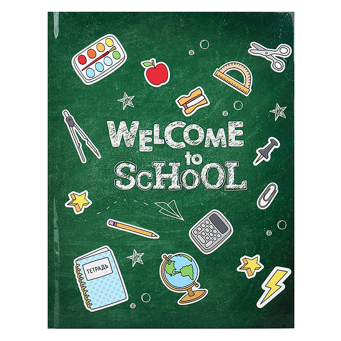 Дневник 1-4кл, тв обл .глянц/лам, 48л, Calligrata "Снова в школу" 