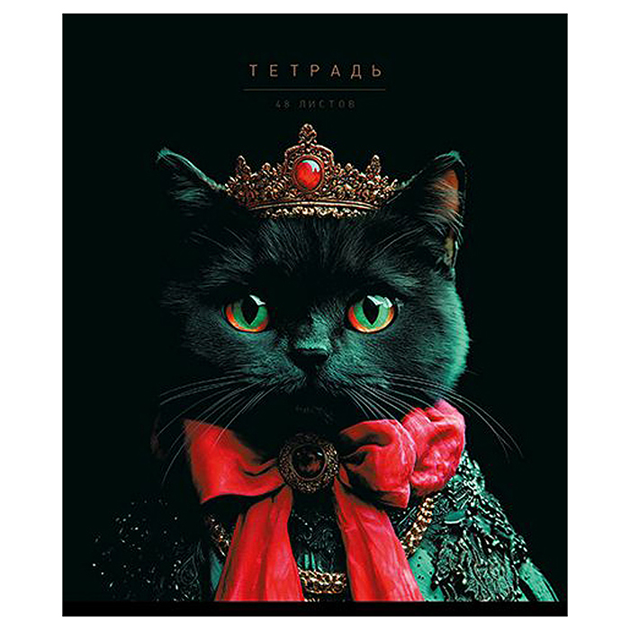 Фото к товару Тетрадь 48л. клетка А5 скрепка S "Я Король!" Премиум 4+0+Матовая ламинация+Выб.УФ-лак+Конгрев Тетрадь 48л. клетка А5 скрепка S "Я Король!" Премиум 4+0+Матовая ламинация+Выб.УФ-лак+Конгрев