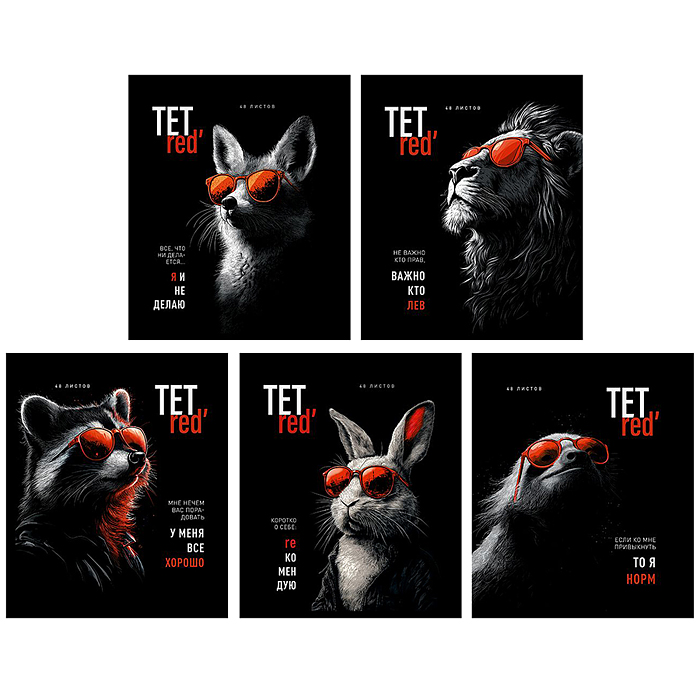 Тетрадь 48л. клетка А5 скрепка S "ТетРед" Премиум 4+4+Матовая ламинация+УФ выб.20%+Конгрев 