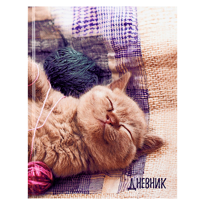 Дневник 1-4кл, тв обл. глянц/лам, 48л, Calligrata "Котенок" 