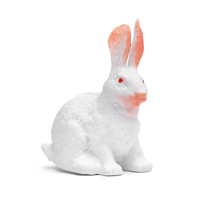 Фото к товару Игрушка пластизоль "Домашние животные" 6 шт, в пакете Игрушка пластизоль "Домашние животные" 6 шт, в пакете