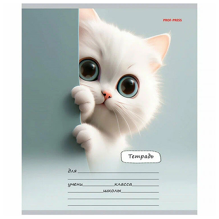 Фото к товару Тетрадь 18л. линия "Милый взгляд котенка" цвет.мелов.обл.,5 дизайнов в спайке Тетрадь 18л. линия "Милый взгляд котенка" цвет.мелов.обл.,5 дизайнов в спайке