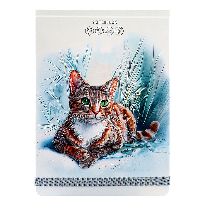 Скетчбук А5, 80л, "Кошачий портрет" 7БЦ, переплет сверху, мат. ламин. лак, резинка