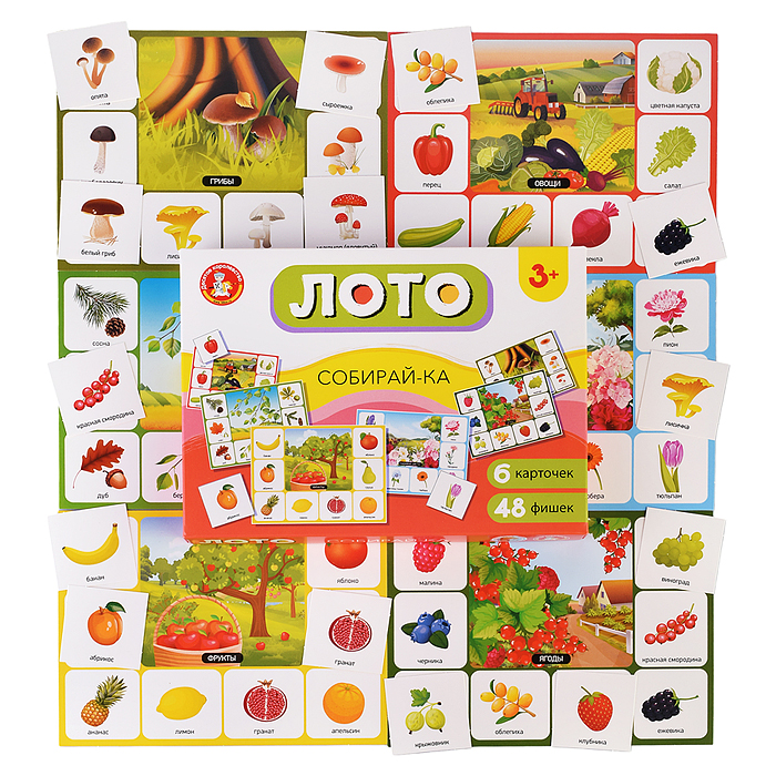 Лото "Собирайка" (большое) Лото "Собирайка" (большое)