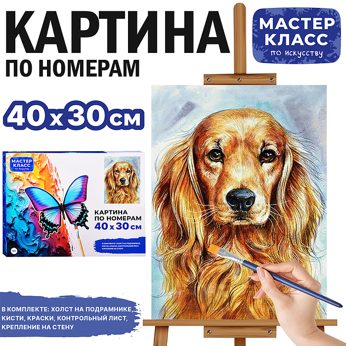 Картина по номерам MKR4030-30 "Спаниель" 30х40 см.