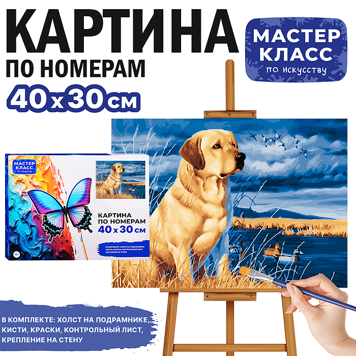 Картина по номерам MKR4030-38 "Золотистый ретривер" 40*30 см. 