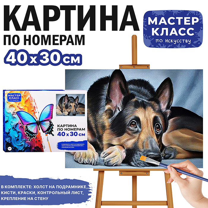 Картина по номерам MKR4030-31 "Овчарка" 30х40 см. 