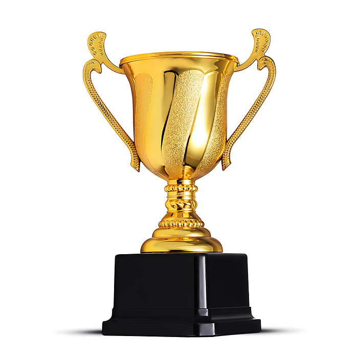 Кубок спортивный 00-6990 пластик (17,5 см) Кубок спортивный 00-6990 пластик (17,5 см)