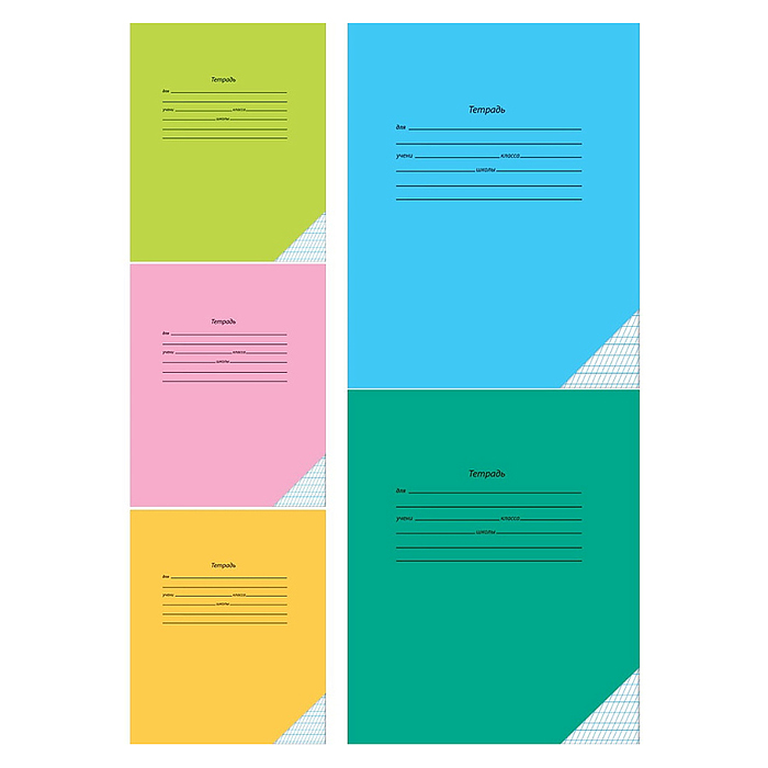 Тетрадь 12л. частая косая линия с доп. горизонтальной "Школьная классика" обл.-цв.мел,5диз.