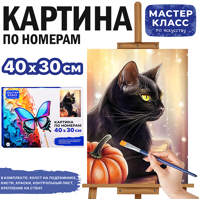 Картина по номерам MKR4030-46 "Чёрный кот" 30х40 см. 
