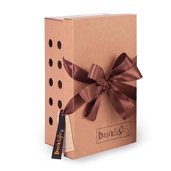 Кот Басик в ярком шарфе