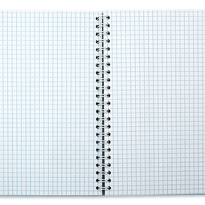 Тетрадь 80л. клетка "Авторалли" на гребне 