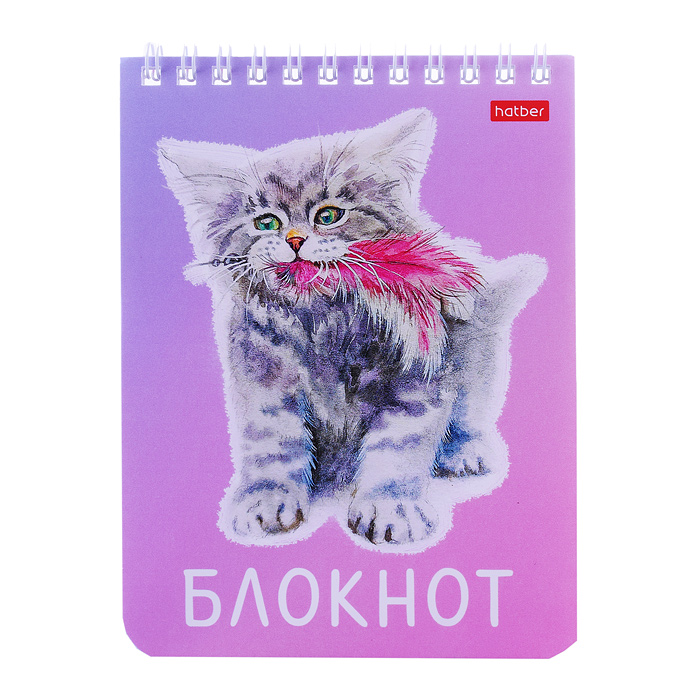 Блокнот 40л А6 клетка "Котики бывают разными"
