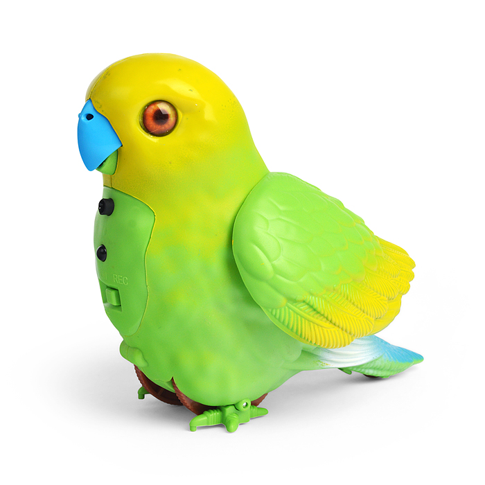 Фото к товару Птичка TT8005 "Попугай Кеша" в коробке Птичка TT8005 "Попугай Кеша" в коробке