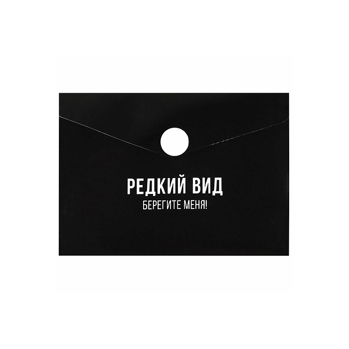 Папка для карт и визиток пластиковая "Фразы с характером"