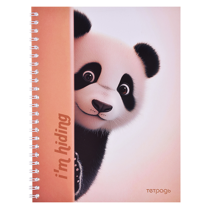 Тетрадь 40л., линейка "Любопытная панда" на гребне 