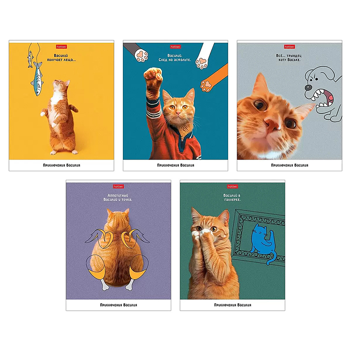 Тетрадь 48л. клетка "Приключения Васи" А5 на скобе 