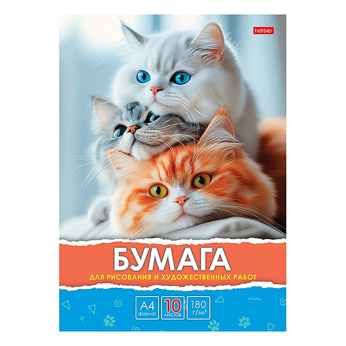 Набор бумаги для рисования и художественных работ 10л А4ф 180гр в папке тиснение-Белый