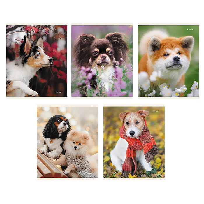 Тетрадь 96л. "Пушистые друзья" клетка, скрепка