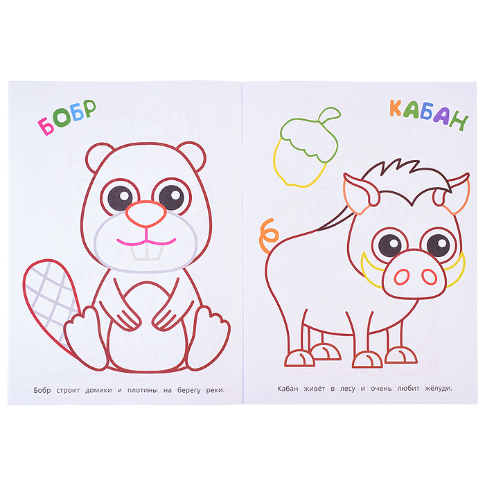 Фото к товару Лесные животные. Первая раскраска. Лесные животные. Первая раскраска.