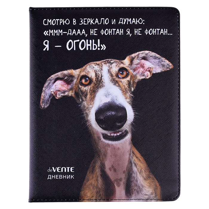 Дневник 1-11 кл. "Я - ОГОНЬ!" кожзам 48 листов, белая бумага 80 г/м²