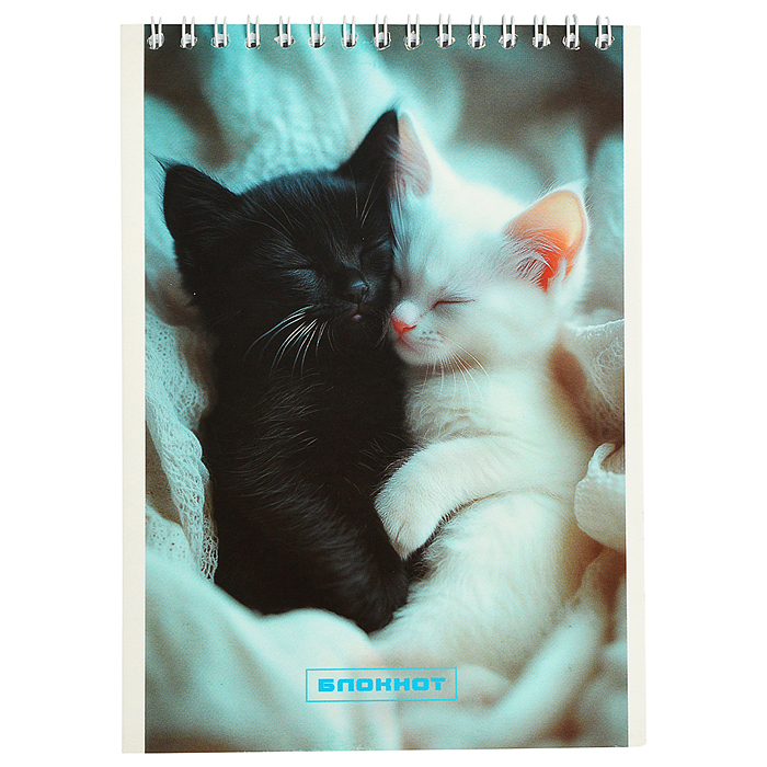 Блокнот 32л. А5 клетка "Два котенка" на гребне Блокнот 32л. А5 клетка "Два котенка" на гребне