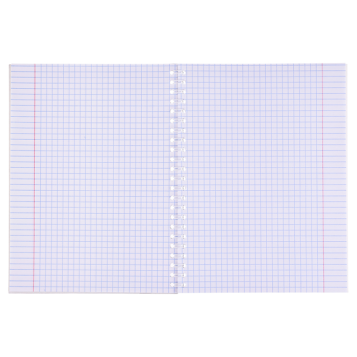 Фото к товару Тетрадь 48л. клетка "Авто. Отражение" на гребне Тетрадь 48л. клетка "Авто. Отражение" на гребне