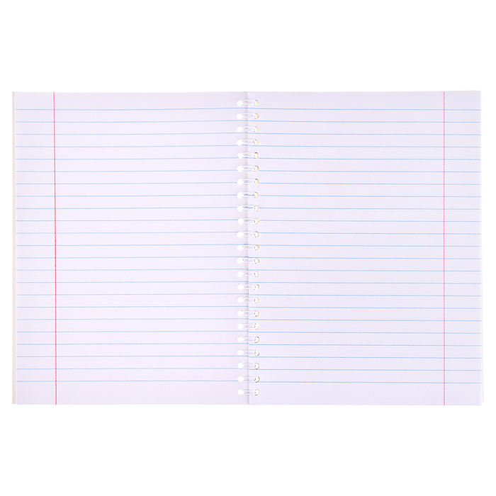 Фото к товару Тетрадь 40л., линейка "Милота" на гребне Тетрадь 40л., линейка "Милота" на гребне