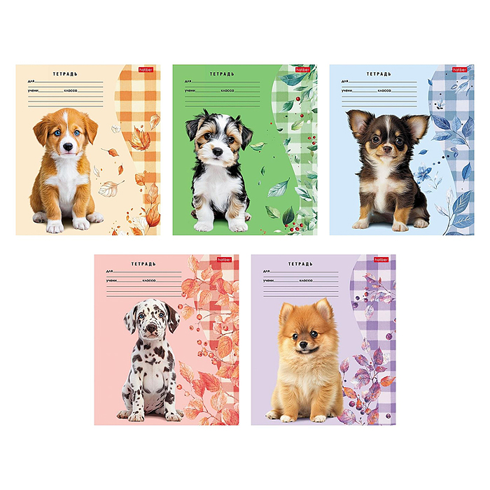 Тетрадь 24л линия "Милые носики" А5 на скобе 5 диз.в блоке скругл. углы 