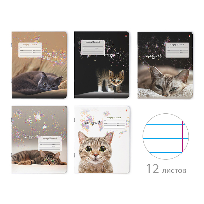 Тетрадь 12л, линия "Удивительные котята" 5 видов
