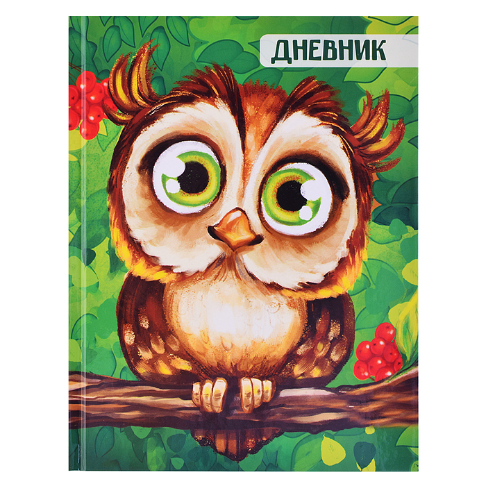 Дневник 1-4кл, тв обл .глянц/лам, 48л, Calligrata "Сова" Дневник 1-4кл, тв обл .глянц/лам, 48л, Calligrata "Сова"