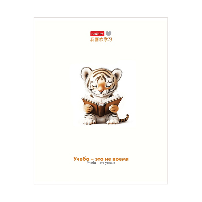 Фото к товару Тетрадь 48л. клетка "Я люблю учиться" А5, на скобе Тетрадь 48л. клетка "Я люблю учиться" А5, на скобе