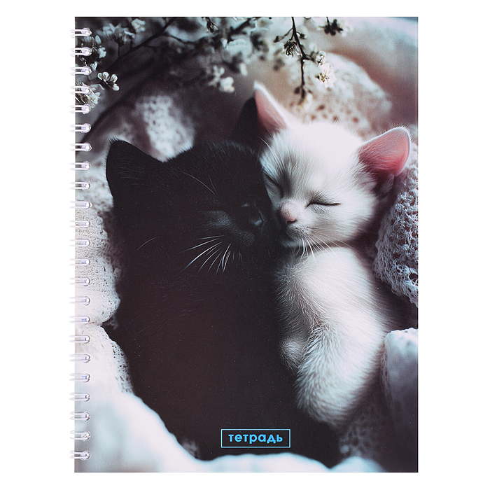 Тетрадь 48л. клетка "Два котенка" на гребне Тетрадь 48л. клетка "Два котенка" на гребне