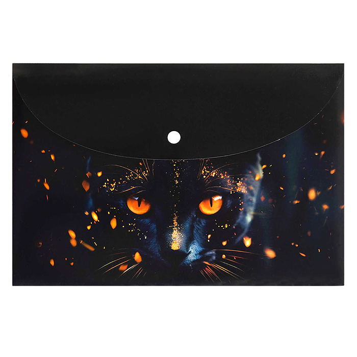 Папка пластиковая А4 "Кот-маг" Папка пластиковая А4 "Кот-маг"