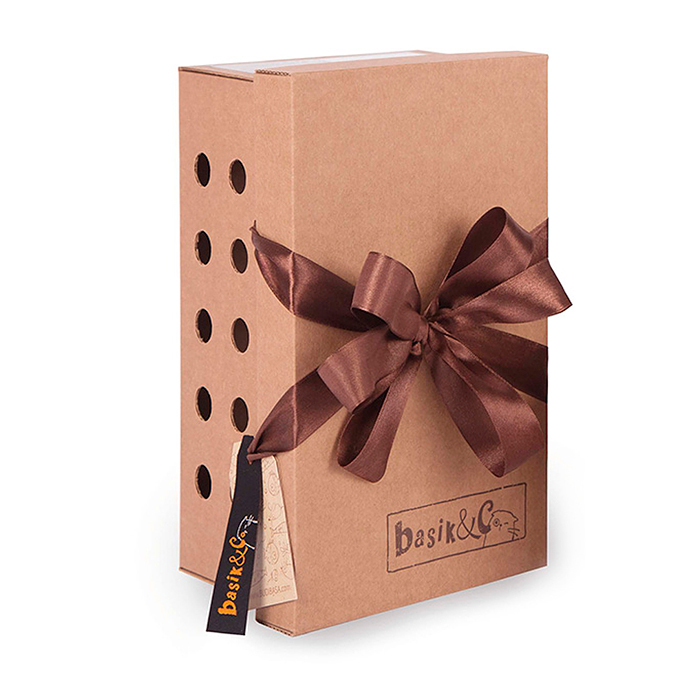 Кот Басик в голубом поло