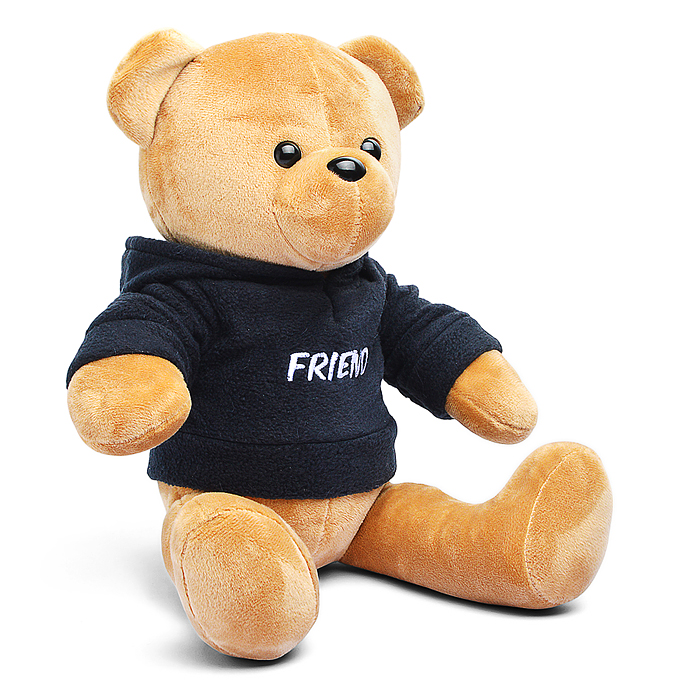 Медведь Друг В25 