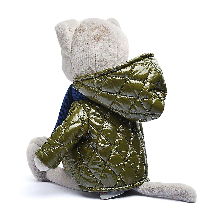 Кот Фауст в куртке В27 