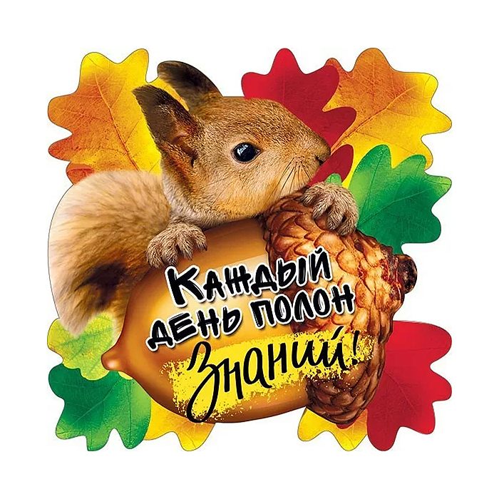 Украшение на скотче "Каждый день полон знаний!" Украшение на скотче "Каждый день полон знаний!"