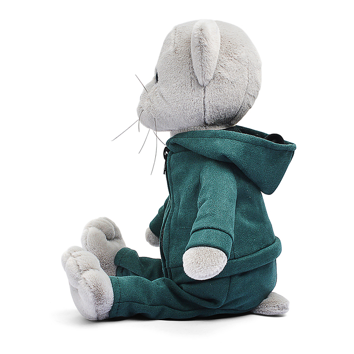 Кот Фаня в спортивном костюме В27 