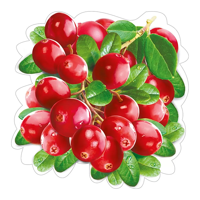 Украшение на скотче "Осенняя ветка" Украшение на скотче "Осенняя ветка"