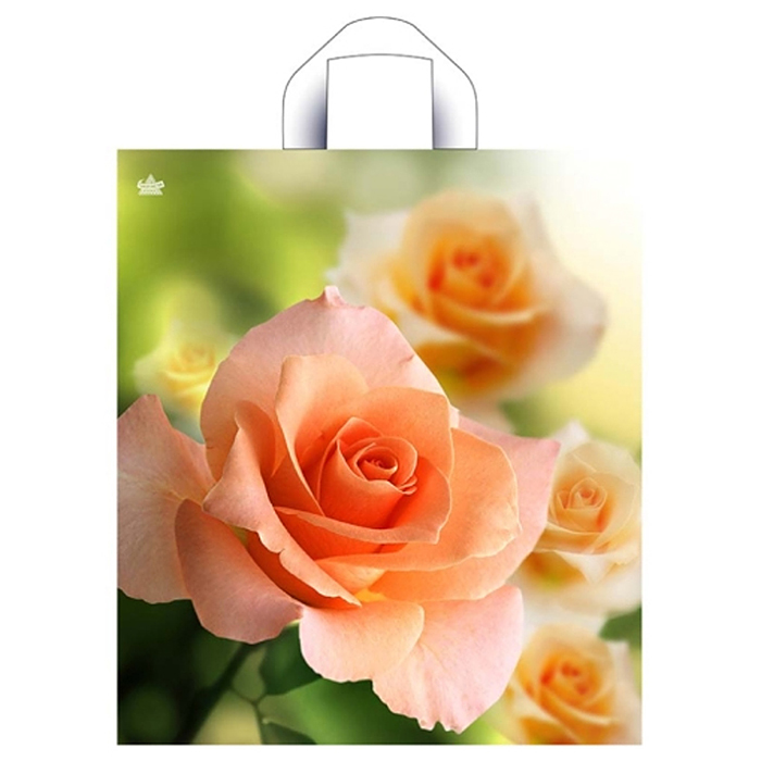 Пакет "Утренняя роза" пакет петлевой (420х380х37) Пакет "Утренняя роза" пакет петлевой (420х380х37)