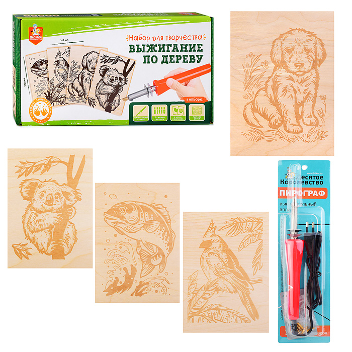 Выжигание. Набор для выжигания по дереву (аппарат с насадками, доски 5 шт)