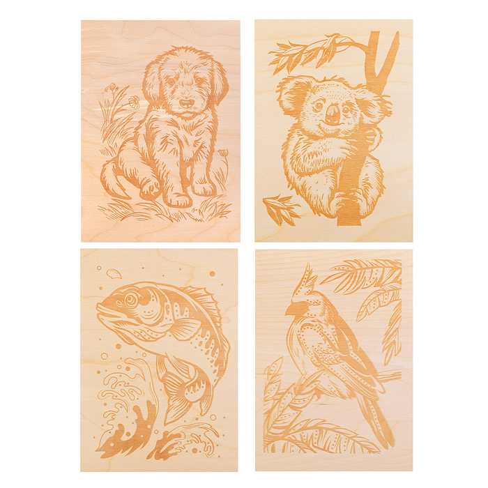 Выжигание. Набор для выжигания по дереву (аппарат с насадками, доски 5 шт)