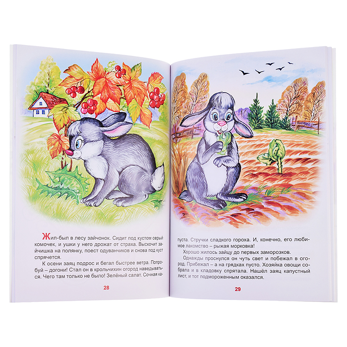 Фото к товару Лесные сказки (Коллекция любимых сказок,ШКС) Лесные сказки (Коллекция любимых сказок,ШКС)