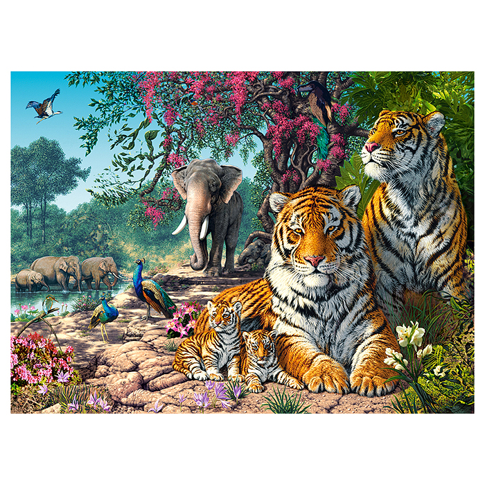 Пазлы 3000 "Заповедник"