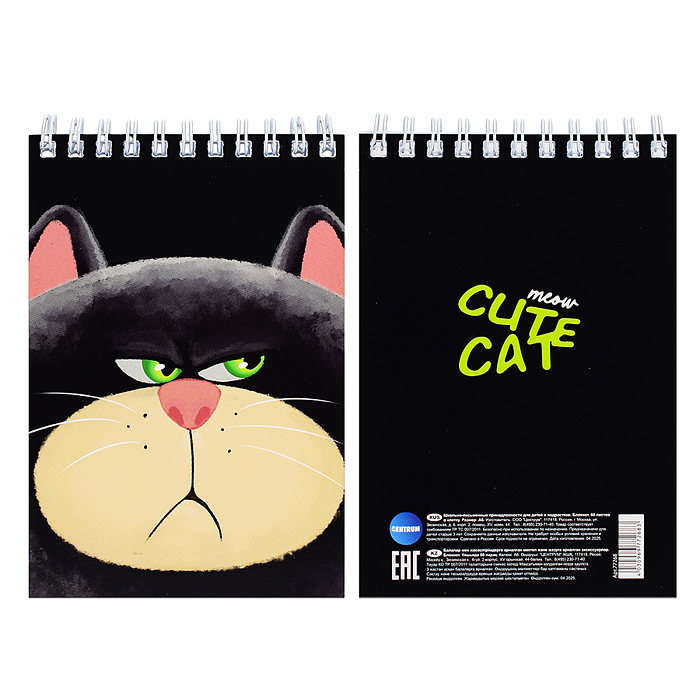 Блокнот "Недовольный кот" формат А6, 60 листов, на гребне, целлюлозный картон