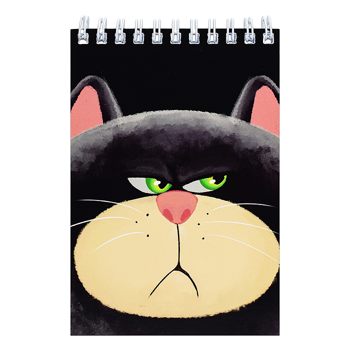 Фото к товару Блокнот "Недовольный кот" формат А6, 60 листов, на гребне, целлюлозный картон Блокнот "Недовольный кот" формат А6, 60 листов, на гребне, целлюлозный картон