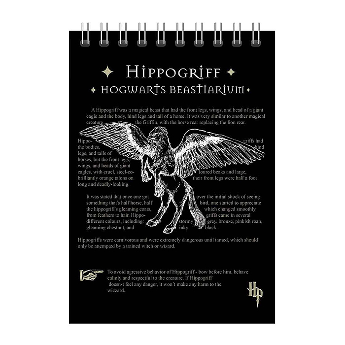 Блокнот 60 л., клетка "Гарри Поттер" А5, на гребне Блокнот 60 л., клетка "Гарри Поттер" А5, на гребне