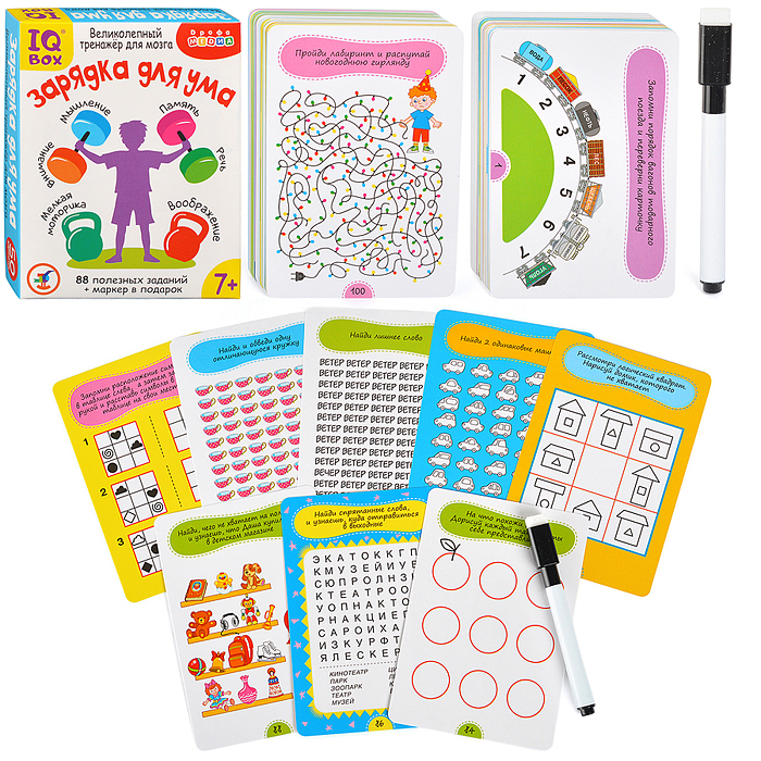 IQ Box. Зарядка для ума