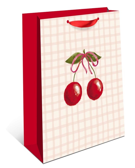 Пакет подарочный 180х223х100